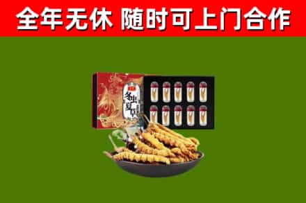 丹棱回收冬虫夏草价格